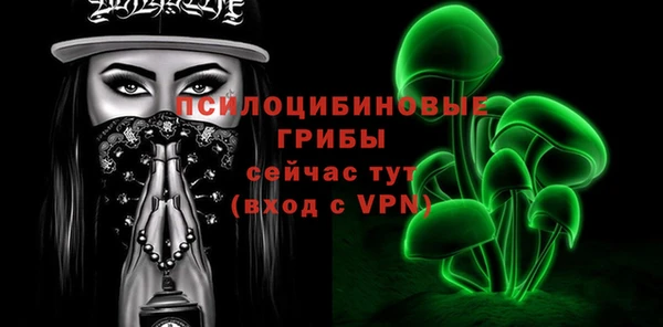 винт Няндома