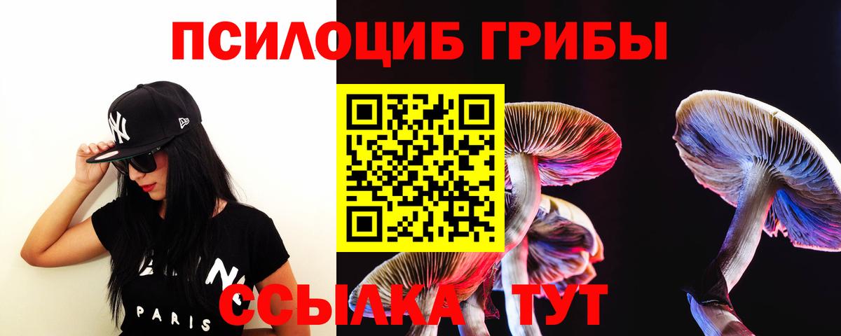Липецк  Псилоцибиновые грибы MAGIC MUSHROOMS  Галлюциногенные грибы мицелий  как найти наркотики  Вход с VPN 