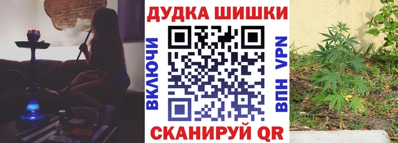 блэк спрут   Липецк  Канабис Amnesia  купить  